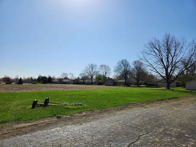 a view of a field with large trees