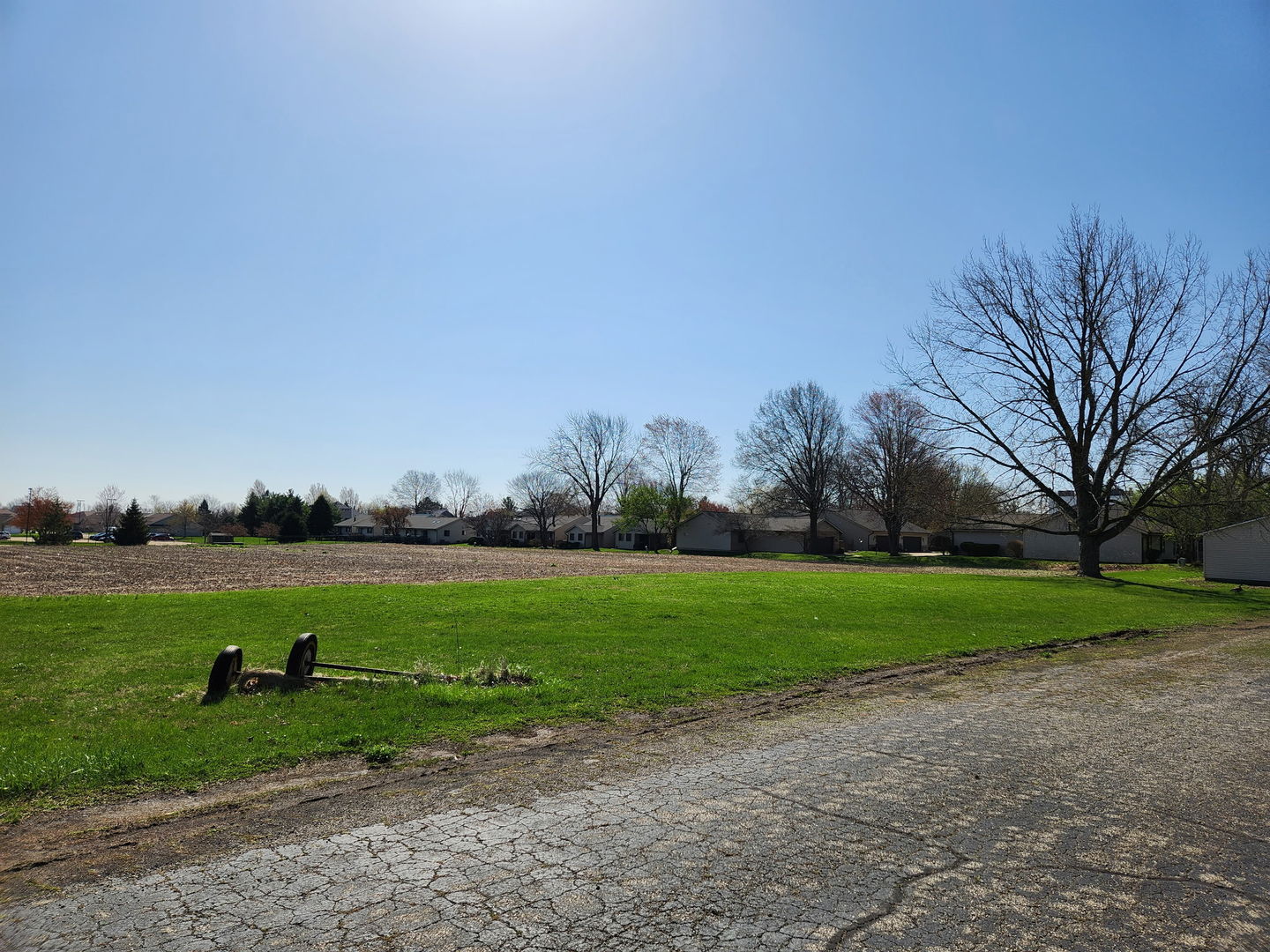 2004 South Philo Road Urbana, IL 61802 - Photo 3 of 3 a view of a field with large trees