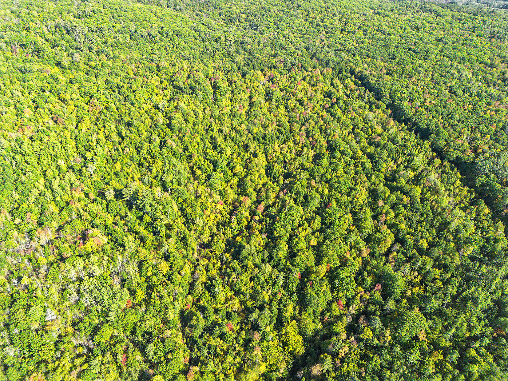 Lot 35 Town House Road Vienna, ME 04360 - Photo 8 of 19 Top of land