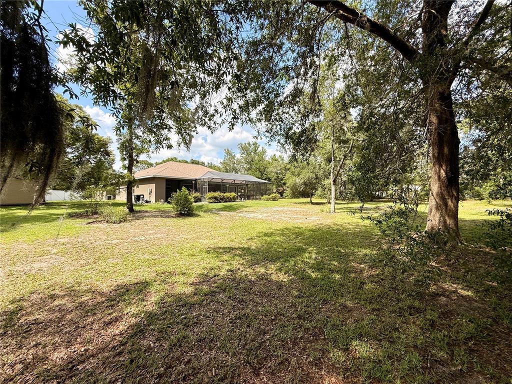13110 Bamboo Street Spring Hill, FL 34609 - Photo 50 of 56 a view of a swimming pool with lawn chairs under an umbrella