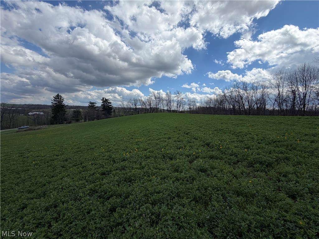 177 Township Road Baltic, OH 43804 - Photo 10 of 10 Gallery Image 10