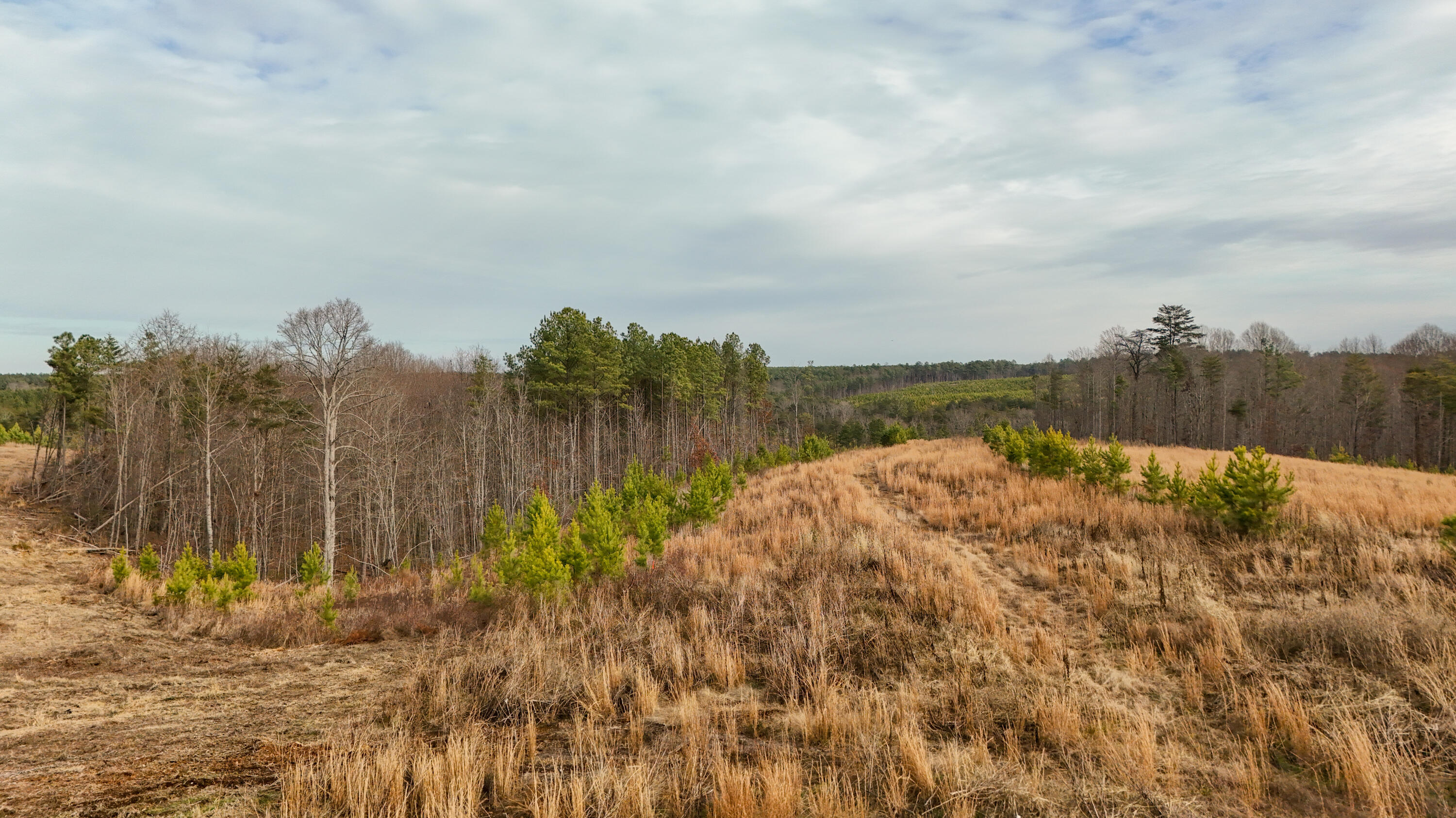 0 State Rt 399 Dunlap, TN 37327 - Photo 2 of 14 Longview-1