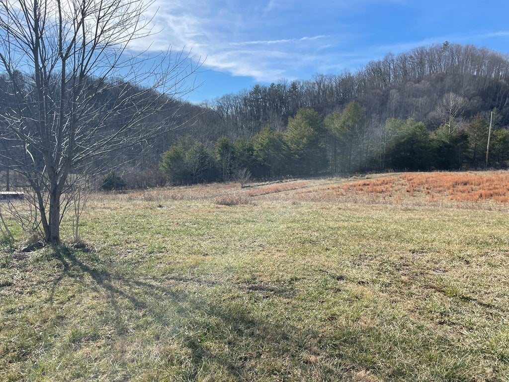 15586 Bishop Road Chilhowie, VA 24319 - Photo 5 of 71 Gallery Image 5