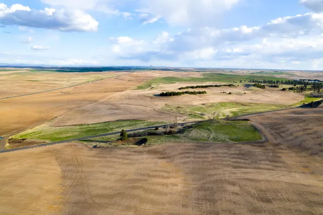 $183,350 | Lot 2 East Cheney-Spangle Road, Unit PARCEL 32085 9041, Spangle, WA 99031