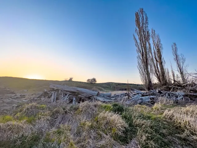 $183,350 | Lot 2 East Cheney-Spangle Road, Unit PARCEL 32085 9041, Spangle, WA 99031