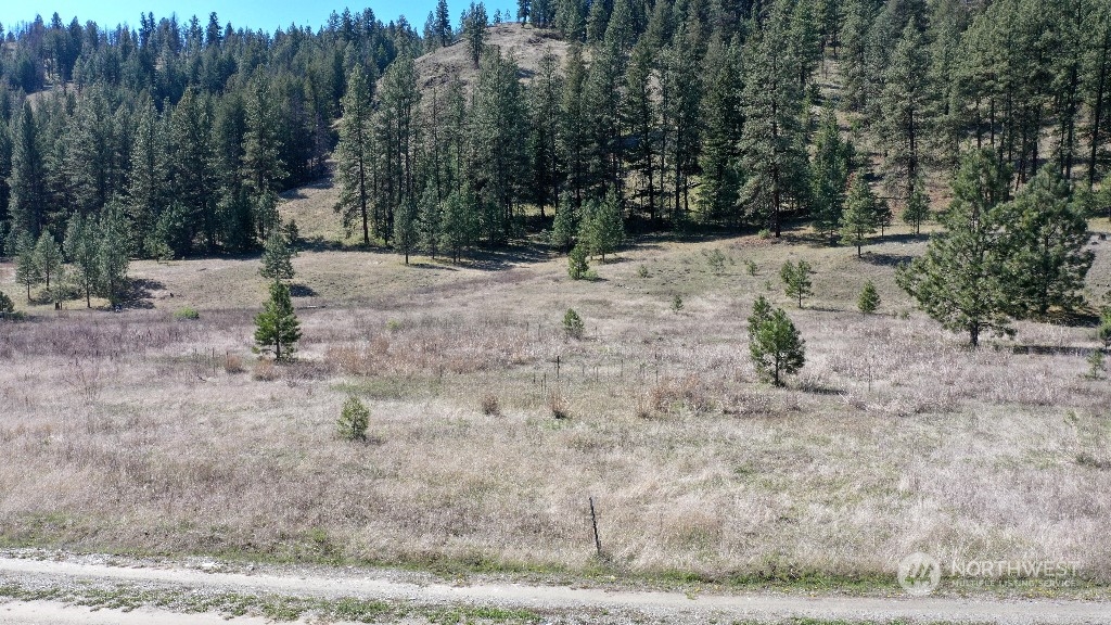 0 Sorona Road Tonasket, WA 98855 - Photo 20 of 25 Gallery Image 20