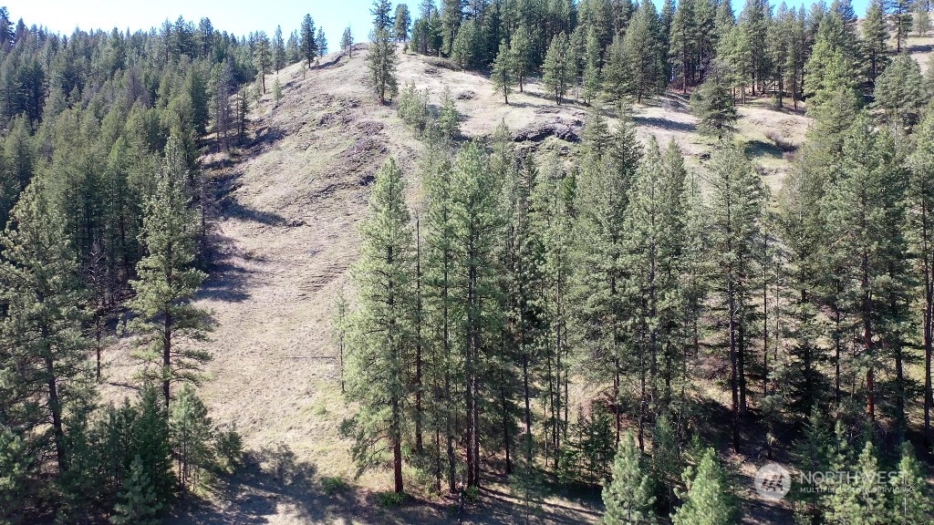 0 Sorona Road Tonasket, WA 98855 - Photo 22 of 25 Gallery Image 22