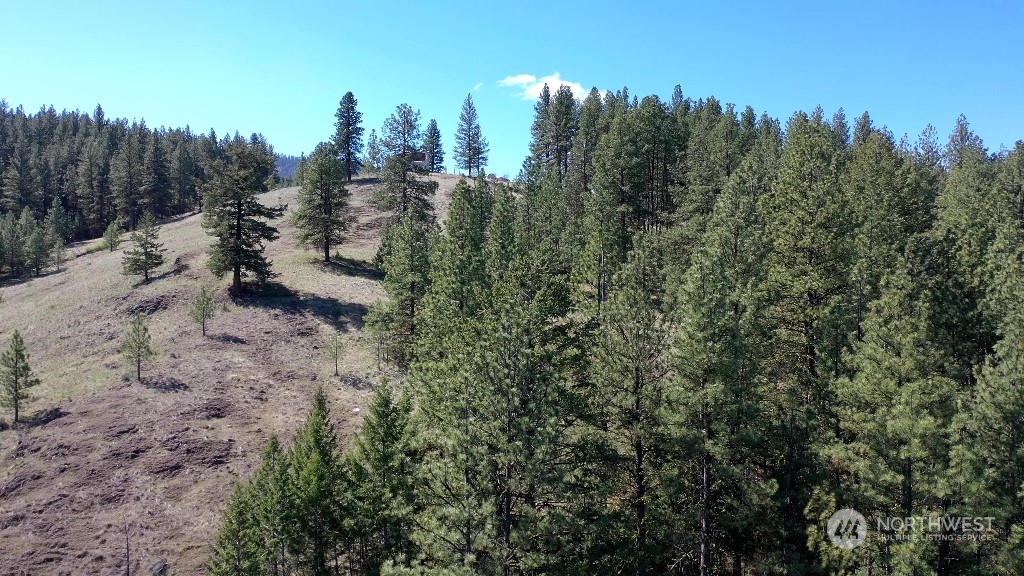 0 Sorona Road Tonasket, WA 98855 - Photo 23 of 25 Gallery Image 23