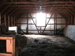 7399 Lancaster-Circleville Road Southwest Lancaster, OH 43130 - Photo 29 of 29