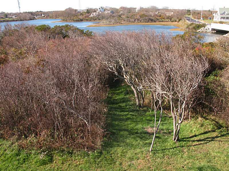 151 Corn Neck Road Block Island, RI 02807 - Photo 8 of 25 View.