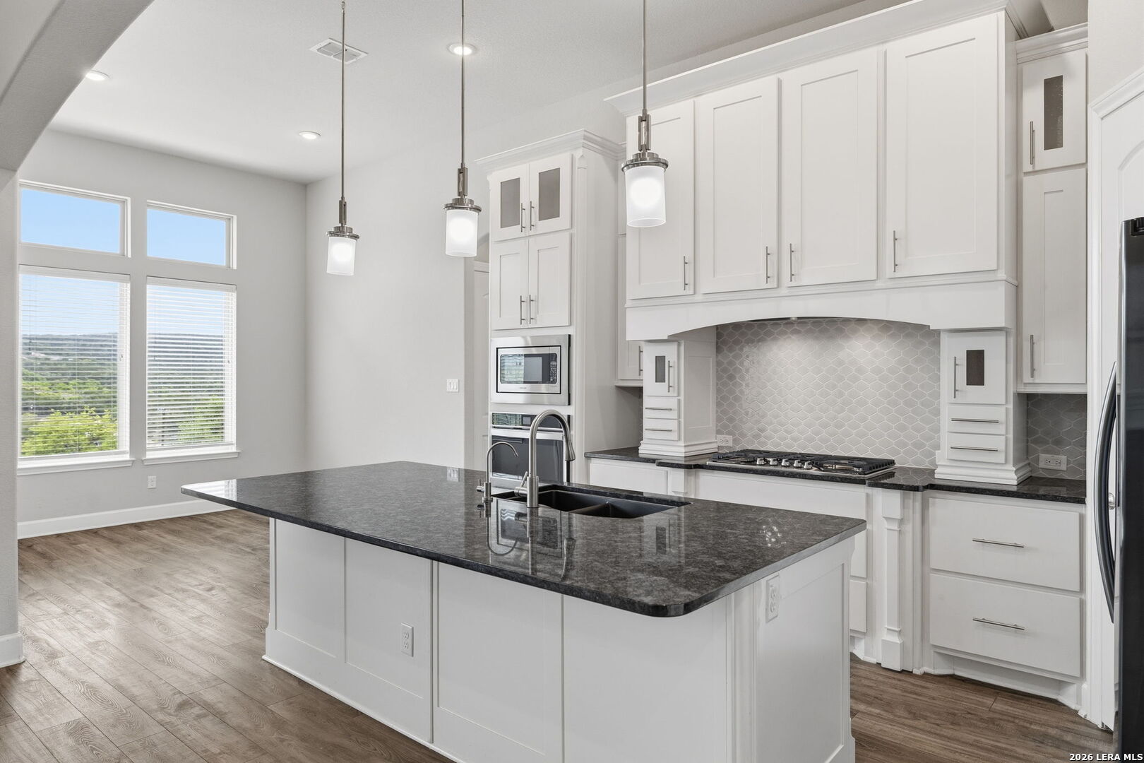 18810 Canyon View Pass Helotes, TX 78023 - Photo 6 of 55