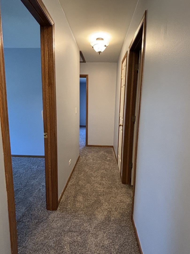 162 Village Creek Drive, Unit 162 Lake In The Hills, IL 60156 - Photo 13 of 19