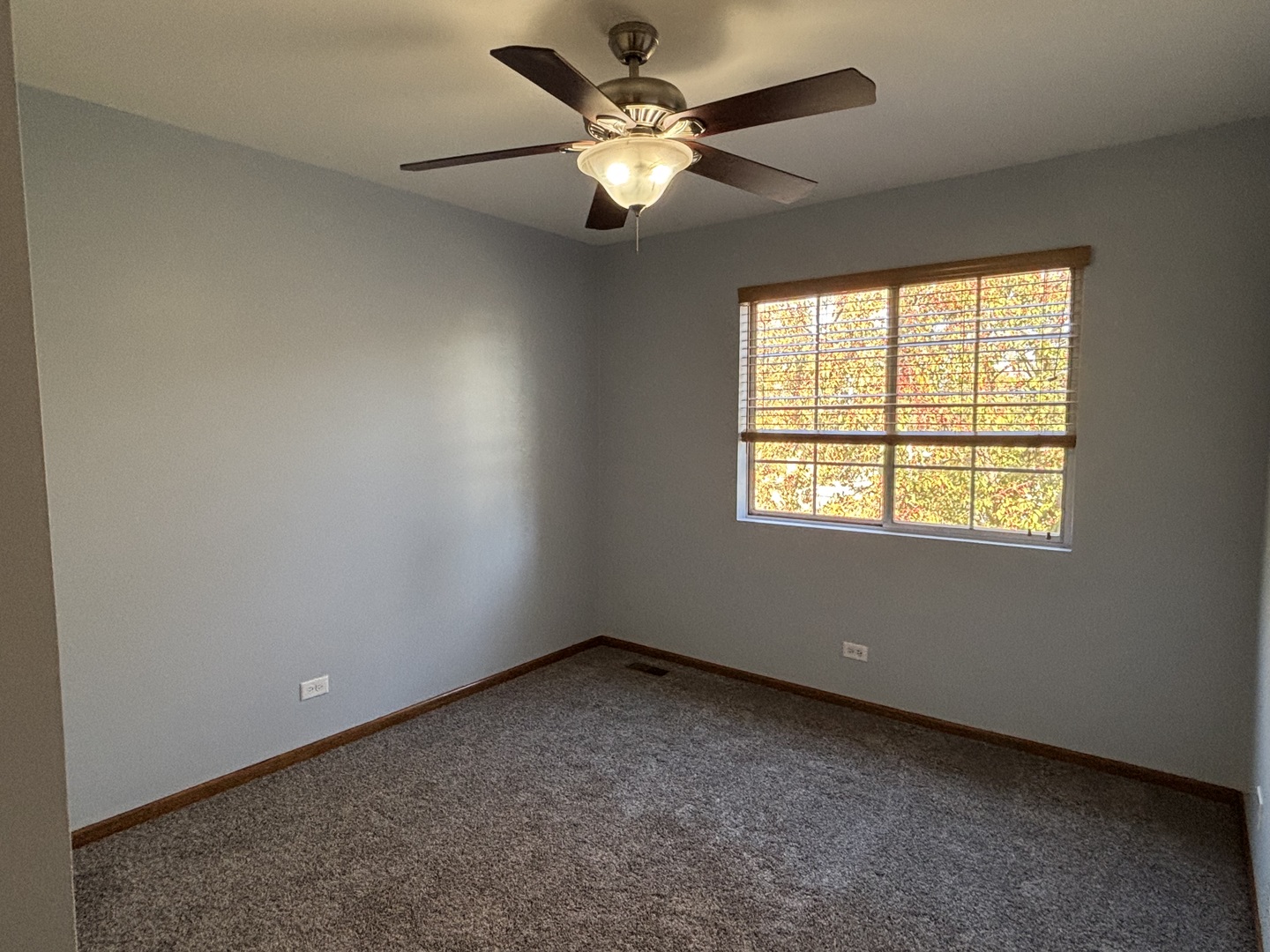 162 Village Creek Drive, Unit 162 Lake In The Hills, IL 60156 - Photo 14 of 19