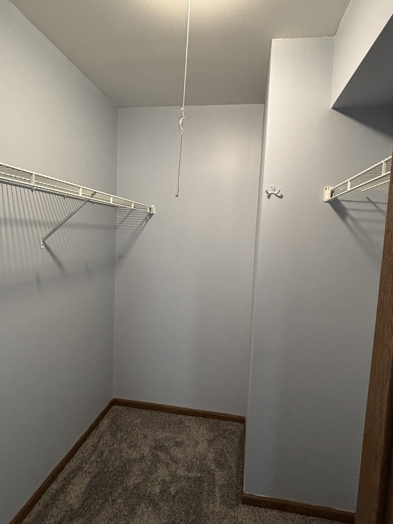 162 Village Creek Drive, Unit 162 Lake In The Hills, IL 60156 - Photo 15 of 19