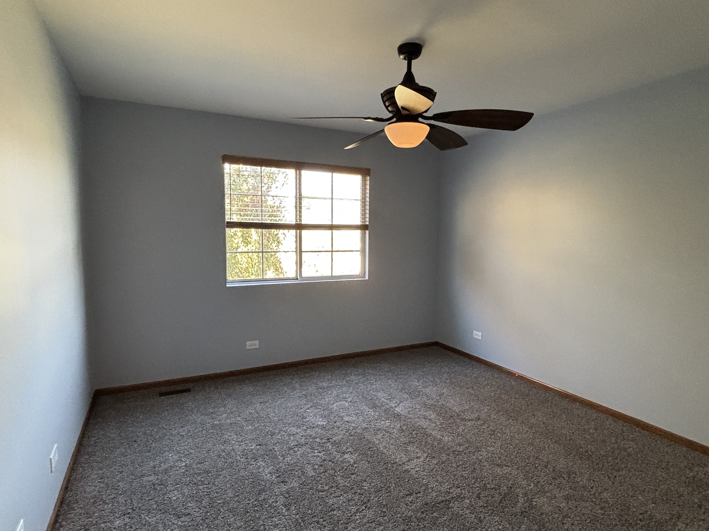 162 Village Creek Drive, Unit 162 Lake In The Hills, IL 60156 - Photo 16 of 19