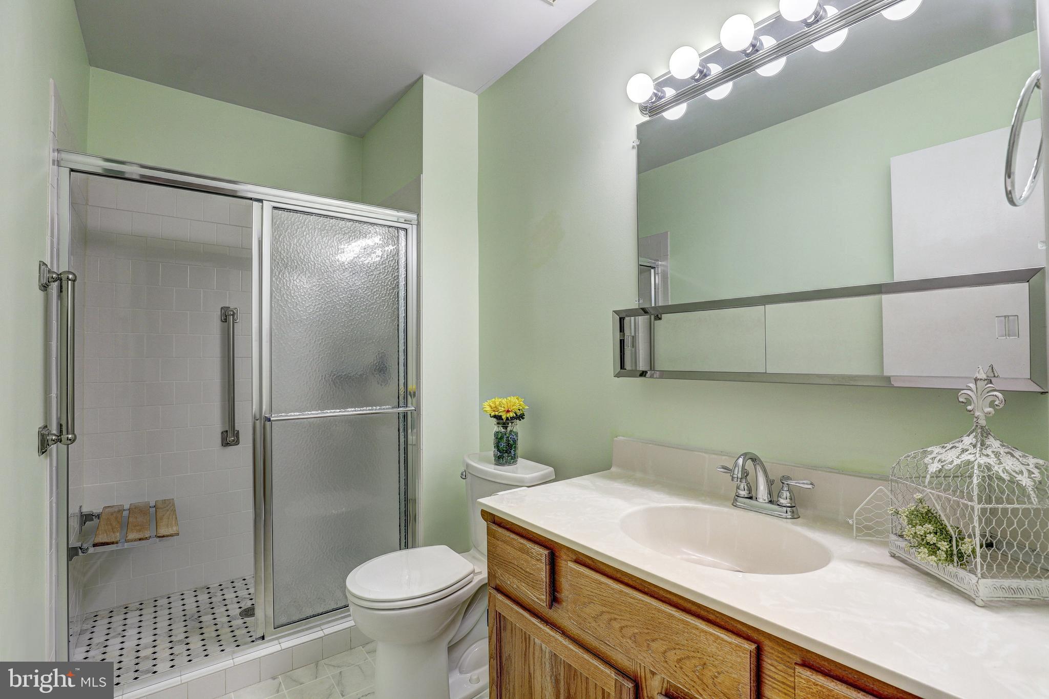 5669 Crabapple Drive Frederick, MD 21703 - Photo 8 of 24 a bathroom with a granite countertop sink toilet and a mirror