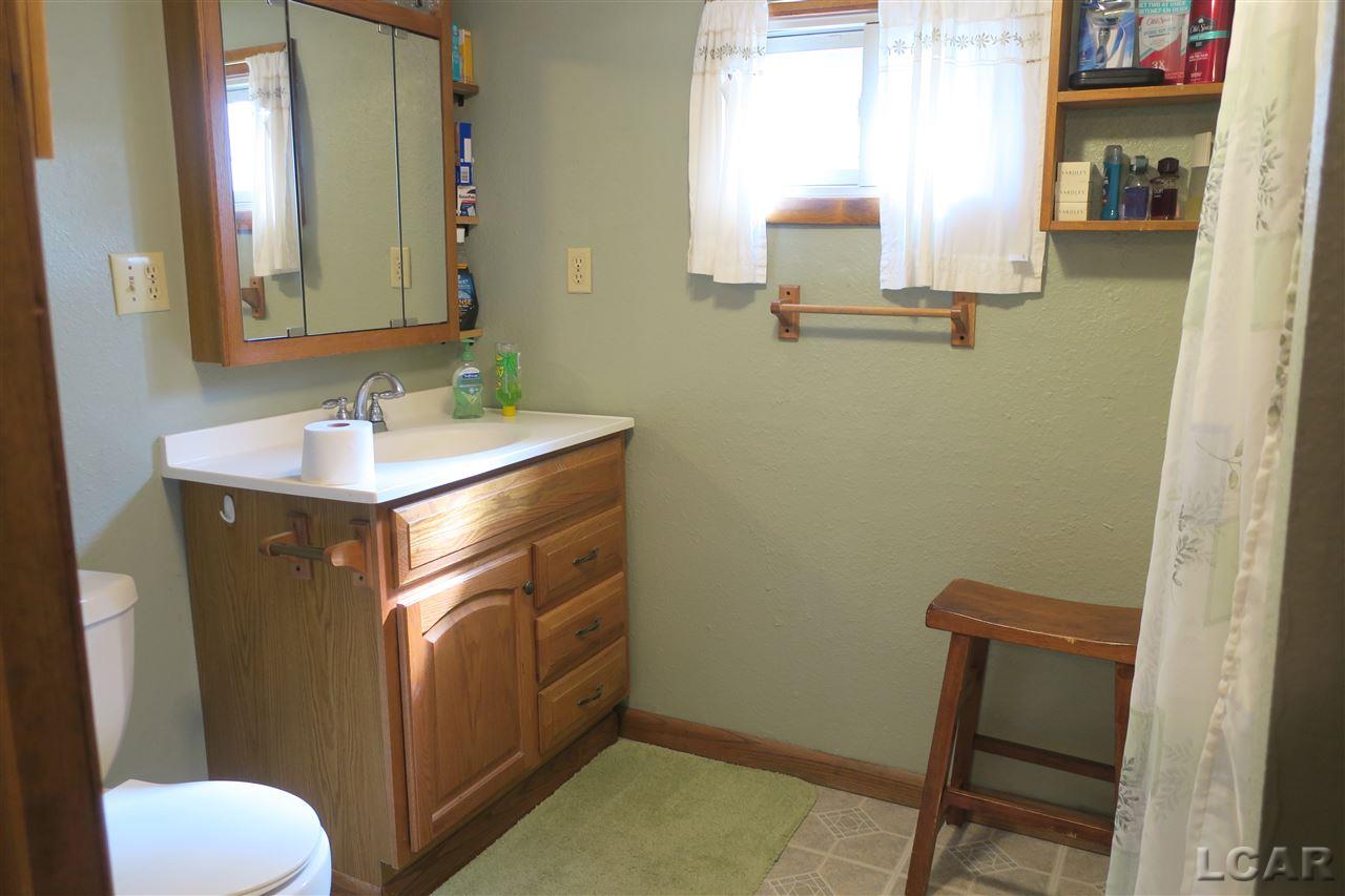 4197 Rouget Road Palmyra, MI 49268 - Photo 12 of 15