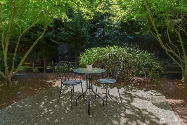 a view of a chairs and table in the backyard