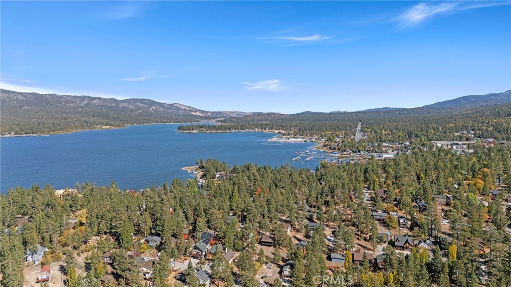 534 Highland Road Big Bear Lake, CA 92315 - Photo 48 of 52