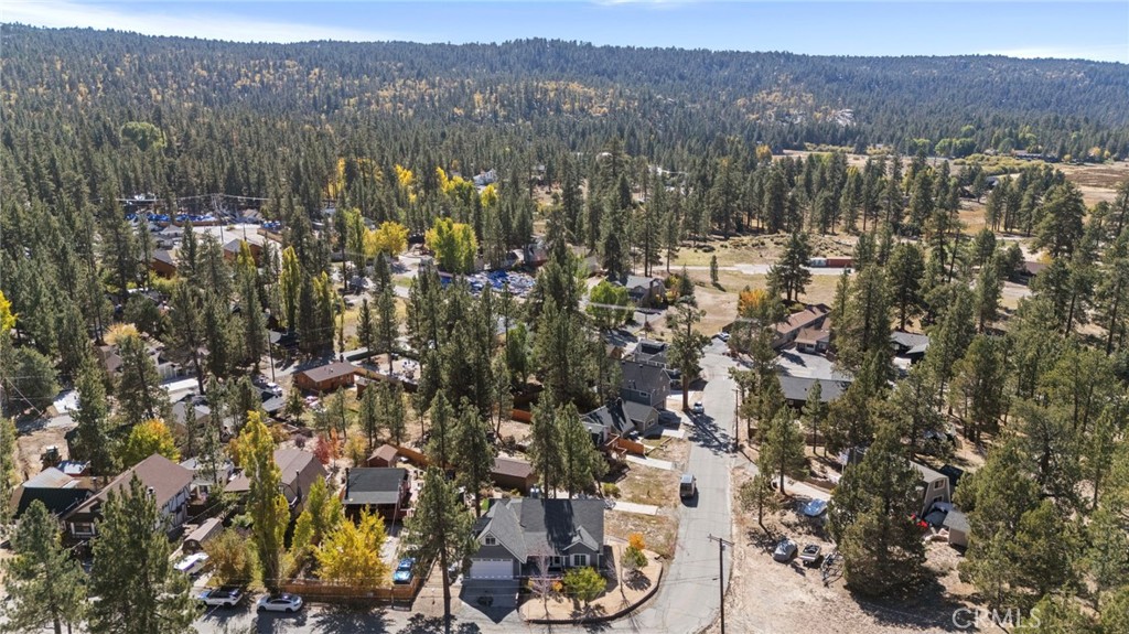 534 Highland Road Big Bear Lake, CA 92315 - Photo 52 of 52 Back side view