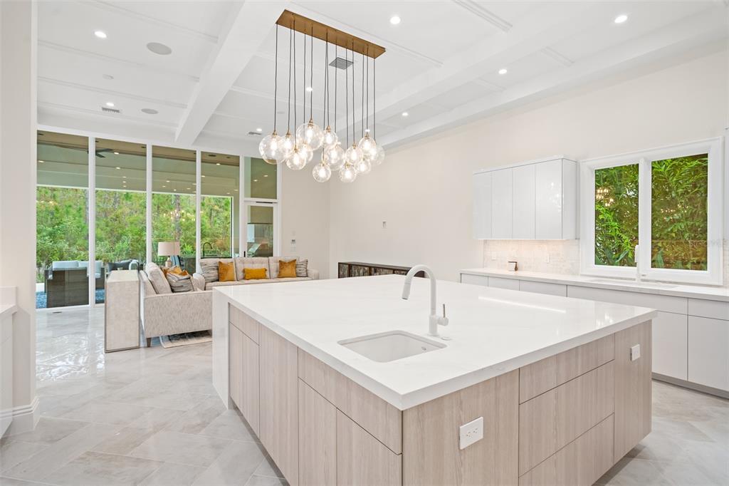 10065 Autumn Mist Lane Orlando, FL 32836 - Photo 29 of 65 a kitchen with a sink and a large window