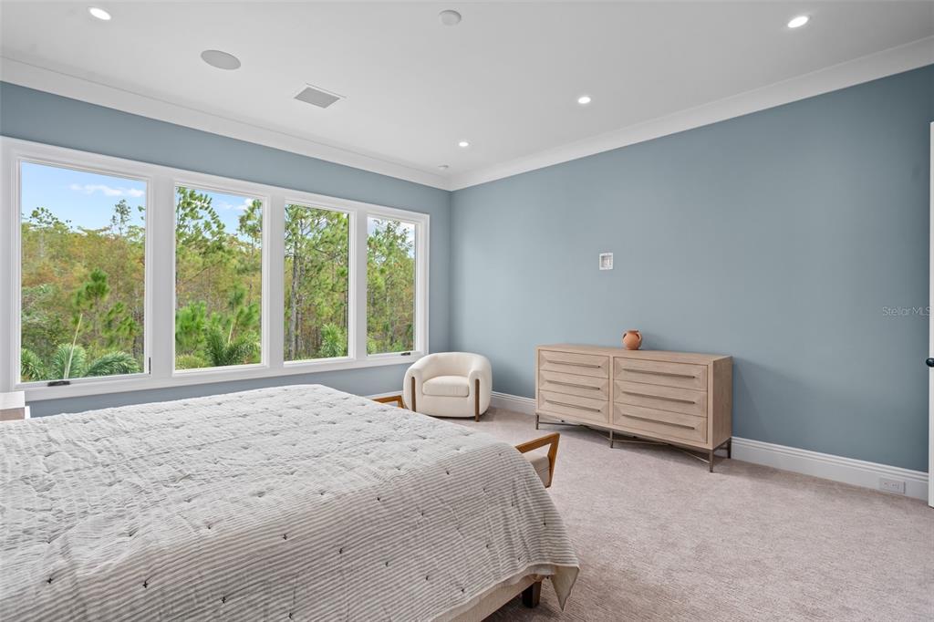 10065 Autumn Mist Lane Orlando, FL 32836 - Photo 42 of 65 a bedroom with furniture and a window