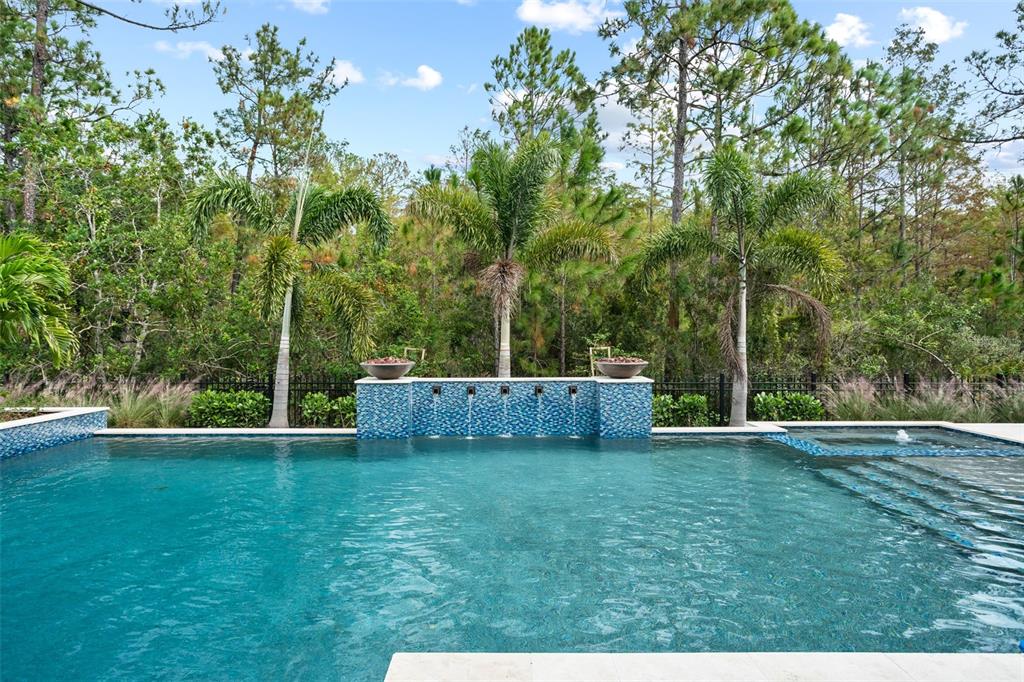 10065 Autumn Mist Lane Orlando, FL 32836 - Photo 56 of 65 a view of a backyard
