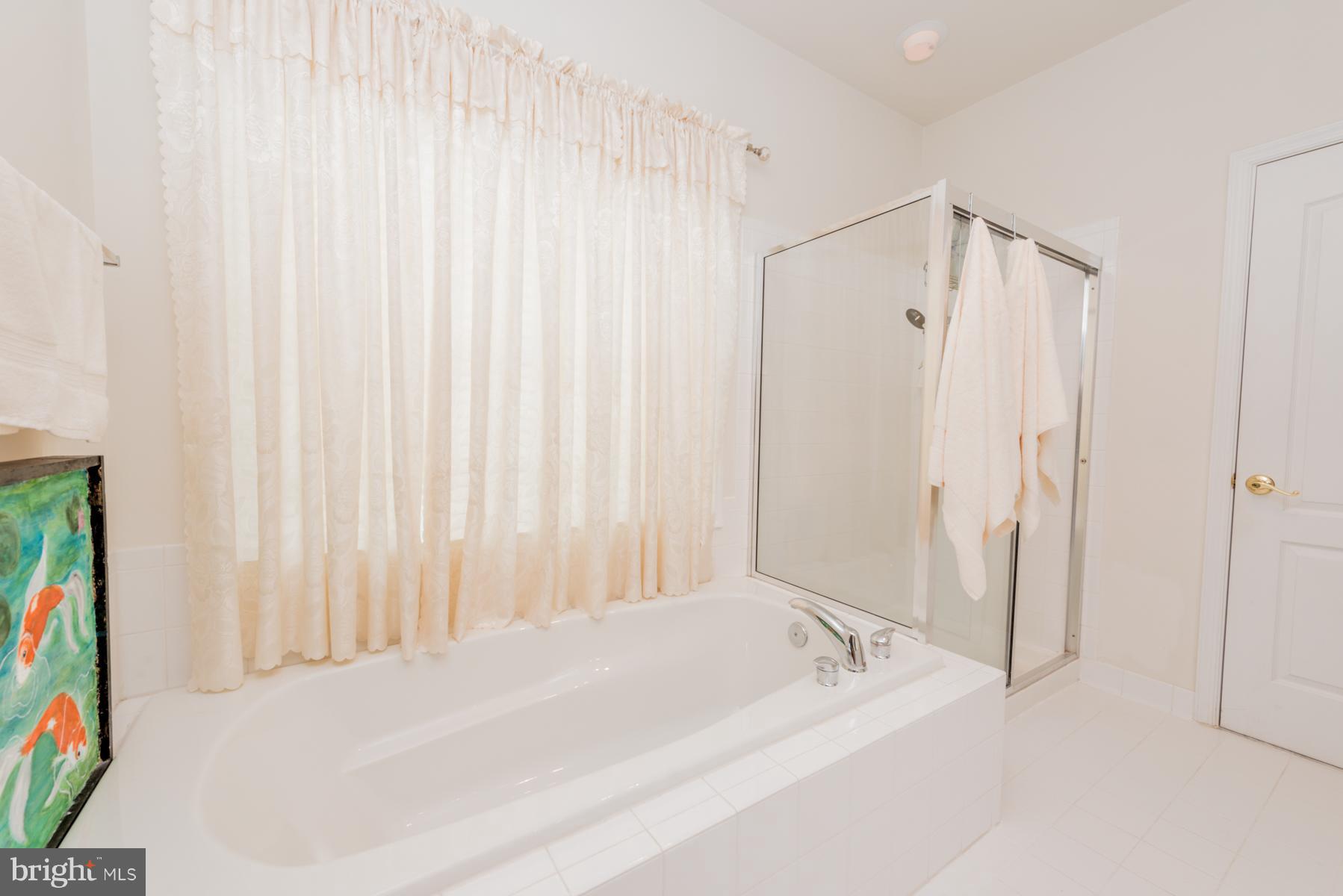 421 High Earls Road Westminster, MD 21158 - Photo 21 of 30 Bath (Master)