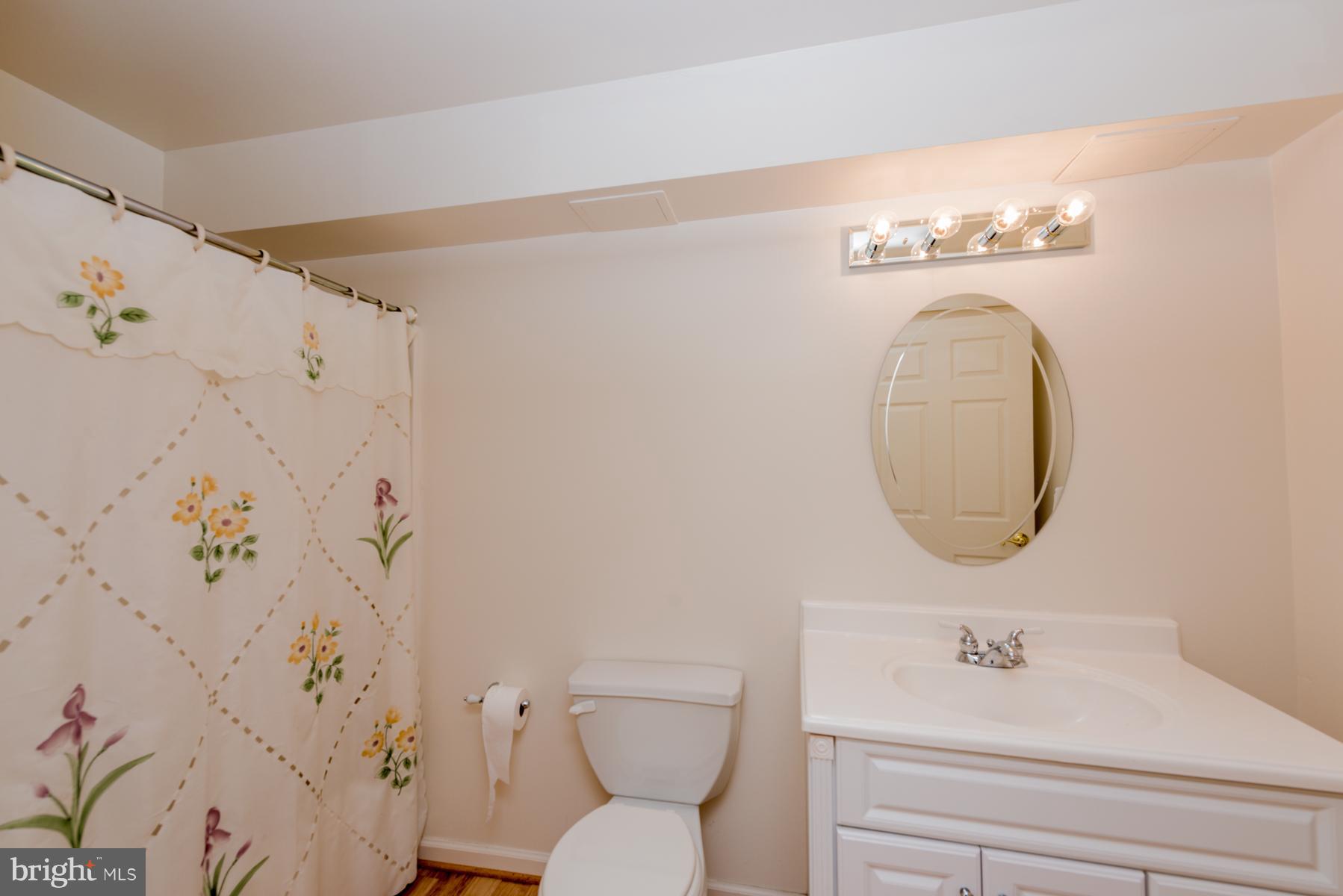 421 High Earls Road Westminster, MD 21158 - Photo 24 of 30 Lower Level Bath