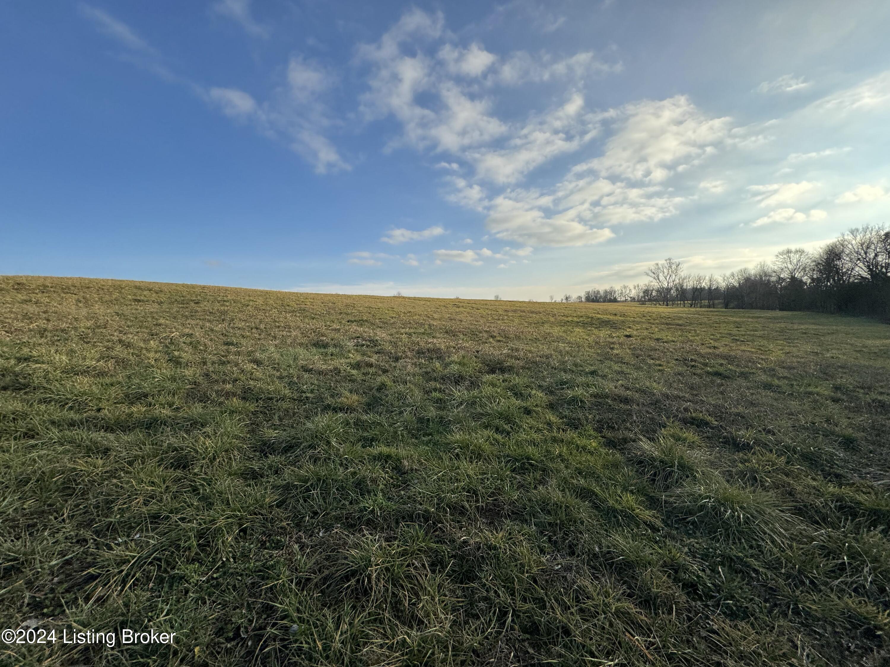 Lot 4 Mt Eden Road Waddy, KY 40076 - Photo 4 of 15 tempImageVFGOiF