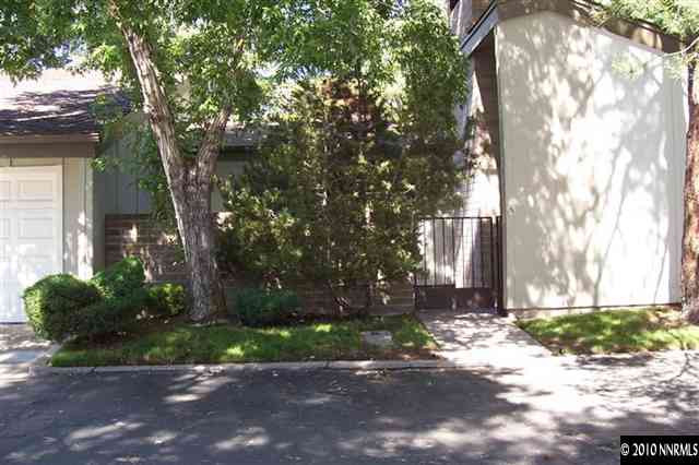 a street view with large trees