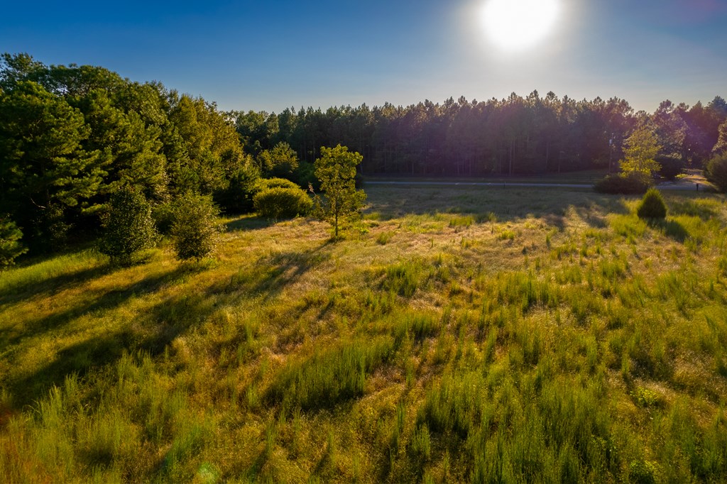 2226 Randall Wade Road Headland, AL 36345 - Photo 25 of 60