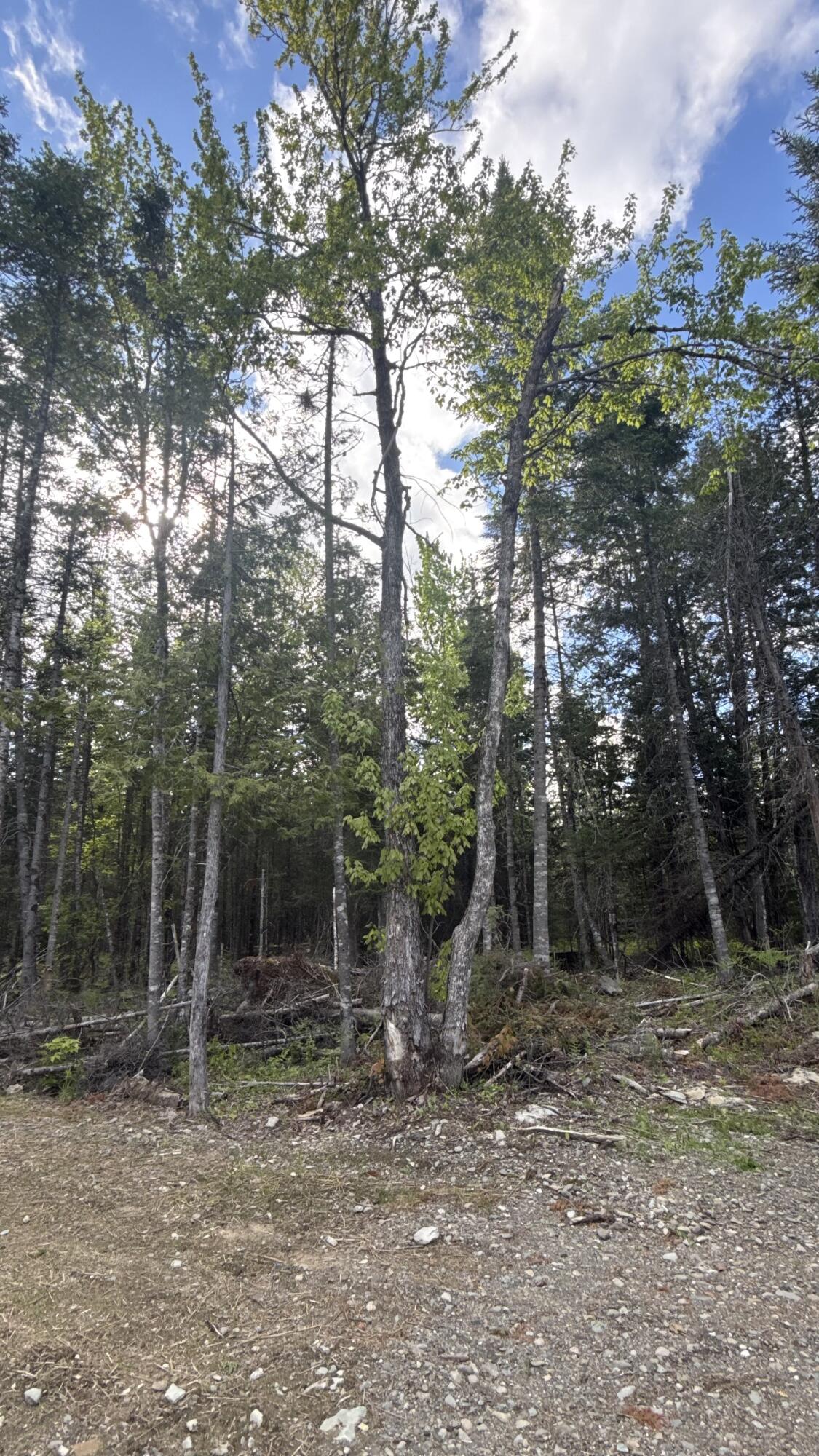 124 Goff Road Sangerville, ME 04479 - Photo 44 of 49