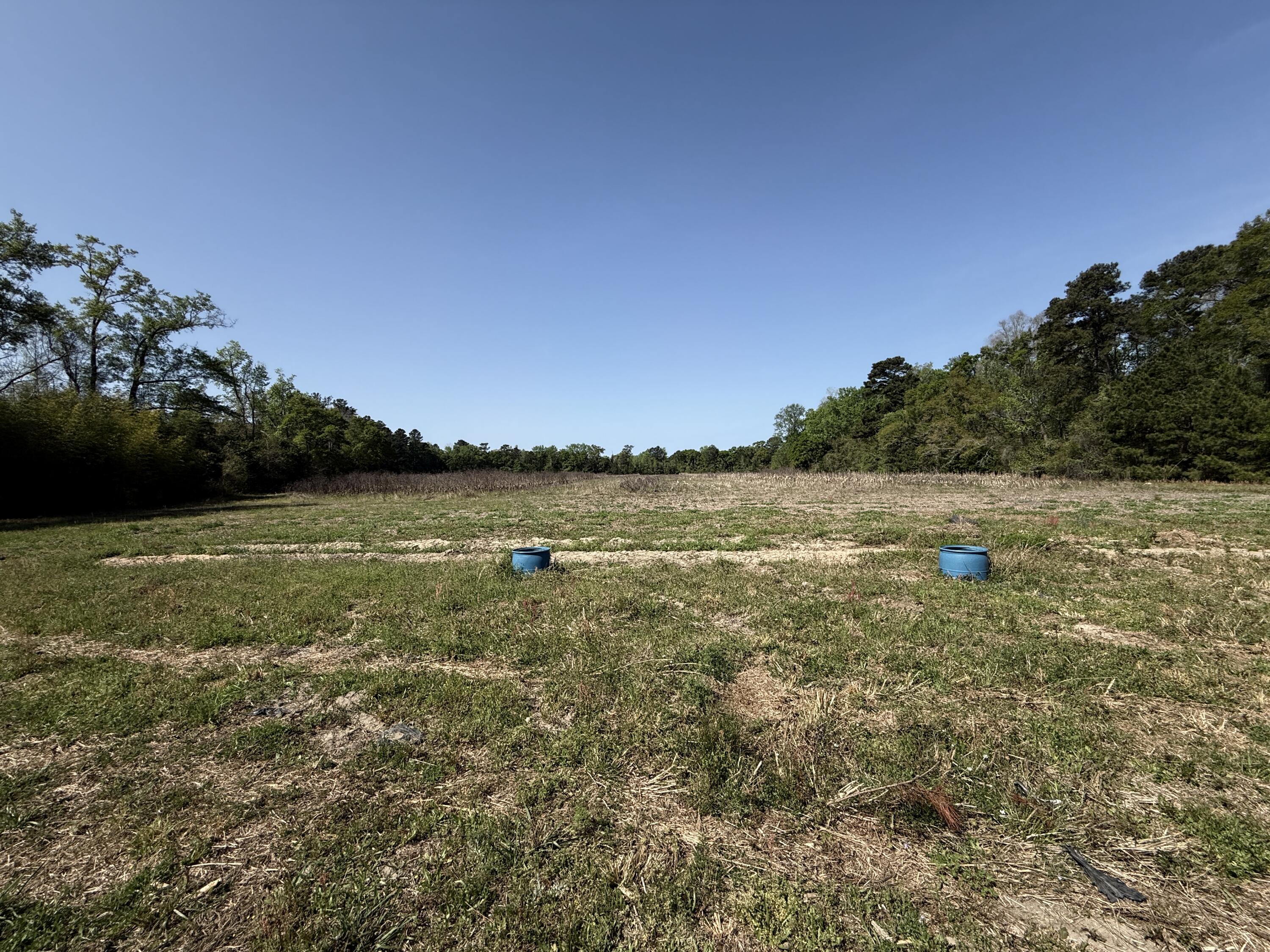 121 Old Spell Road St. George, SC 29477 - Photo 8 of 24 Land