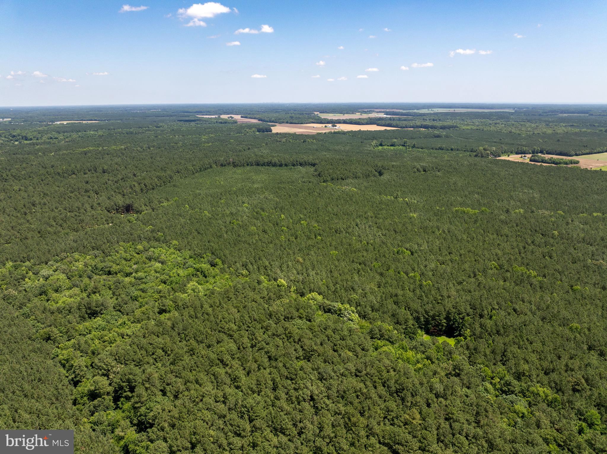 0 Patey Woods Road Berlin, MD 21811 - Photo 11 of 20 a view of an ocean and green field