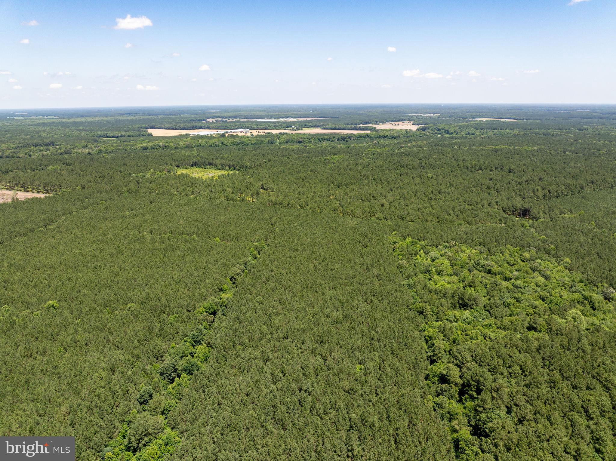 0 Patey Woods Road Berlin, MD 21811 - Photo 12 of 20 a view of an ocean