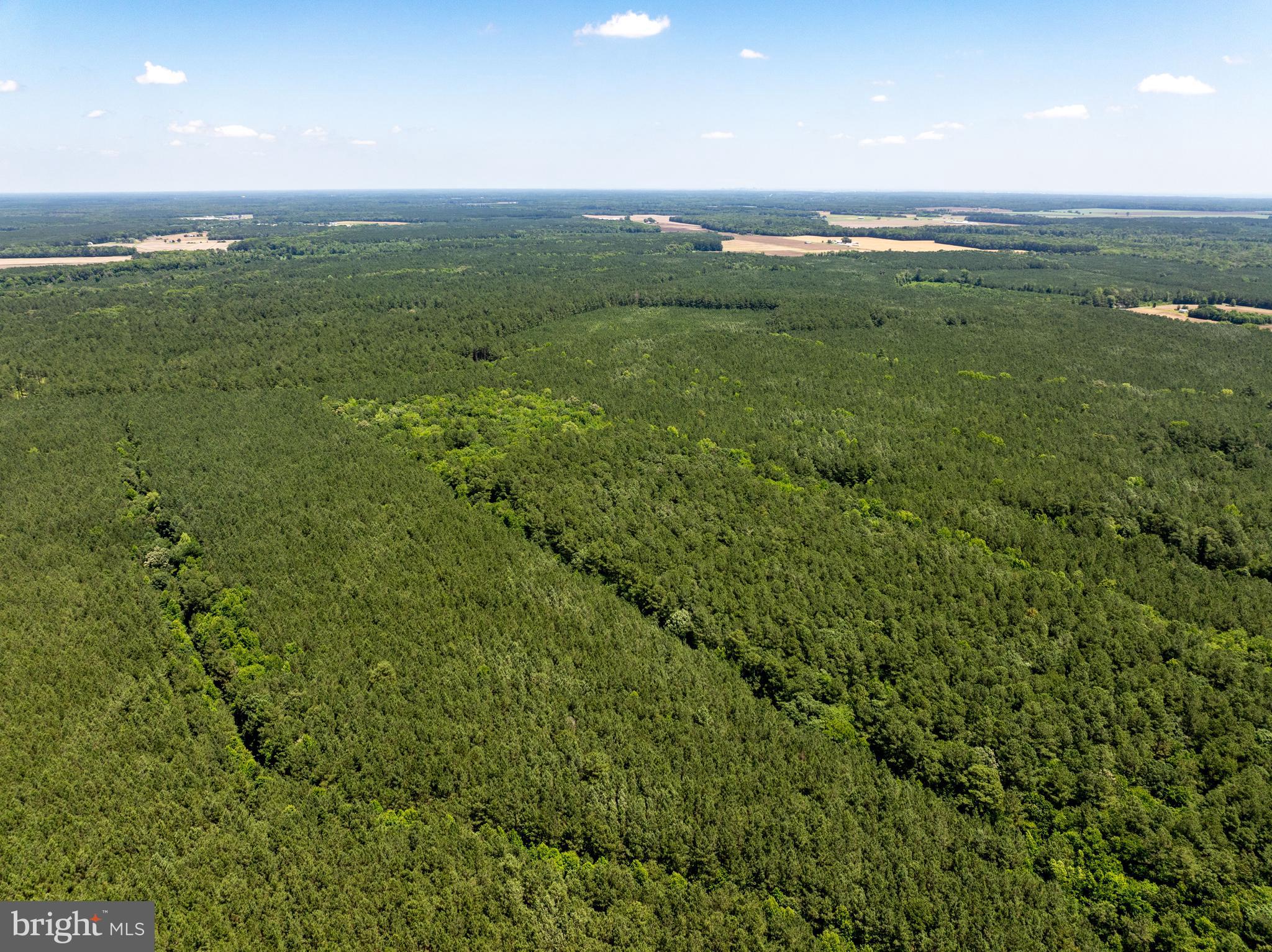 0 Patey Woods Road Berlin, MD 21811 - Photo 14 of 20 a view of an ocean