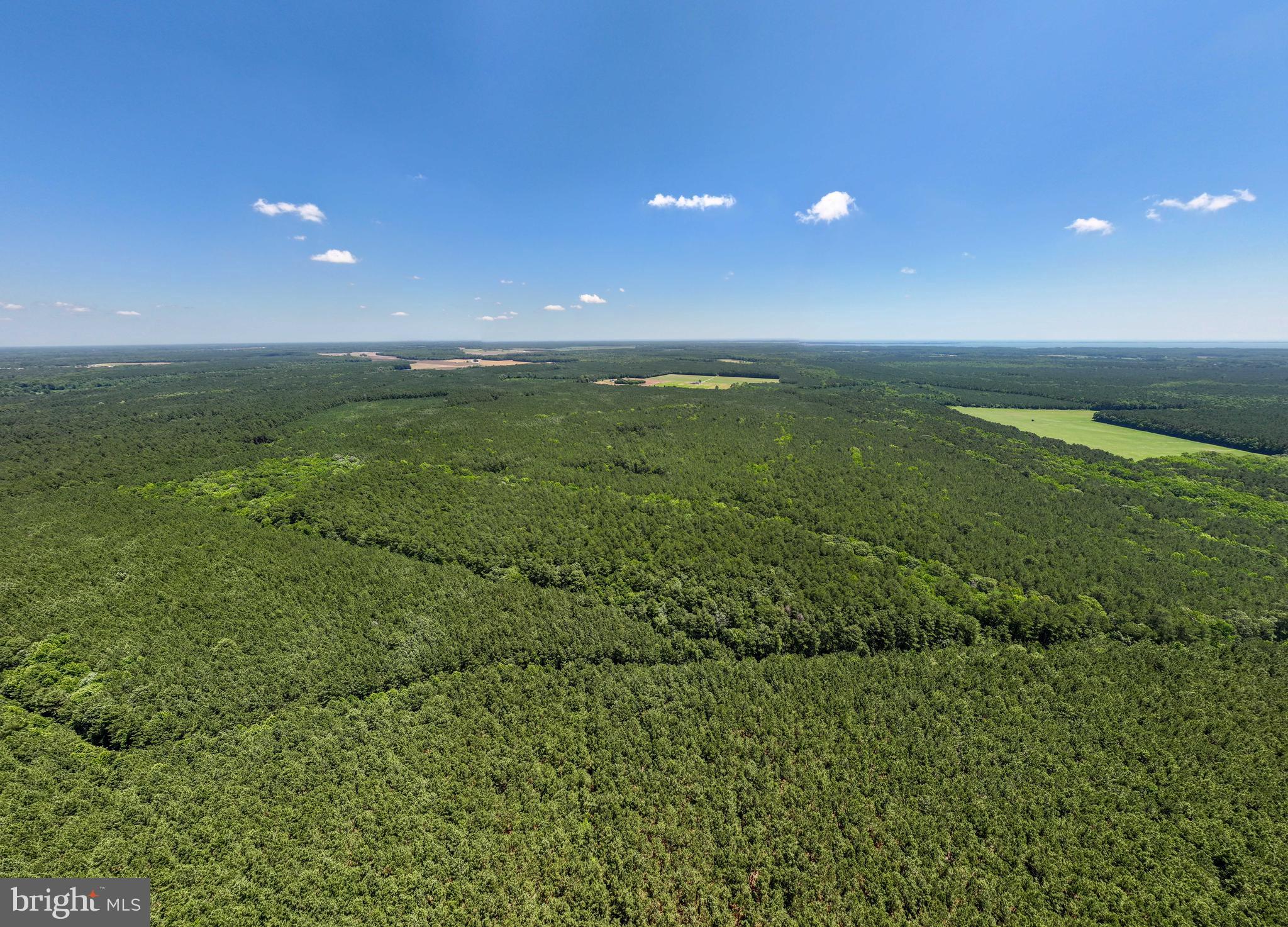 0 Patey Woods Road Berlin, MD 21811 - Photo 15 of 20 a view of a large yard of a building