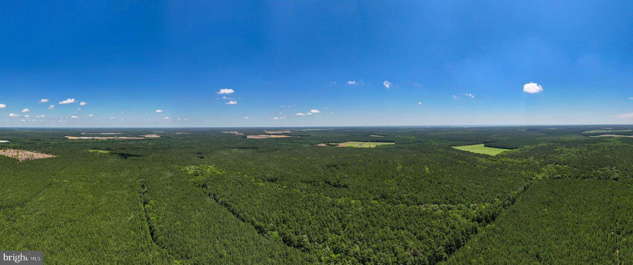 0 Patey Woods Road Berlin, MD 21811 - Photo 16 of 20 a view of an ocean and a yard
