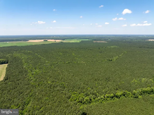 a view of a green field with clear sky