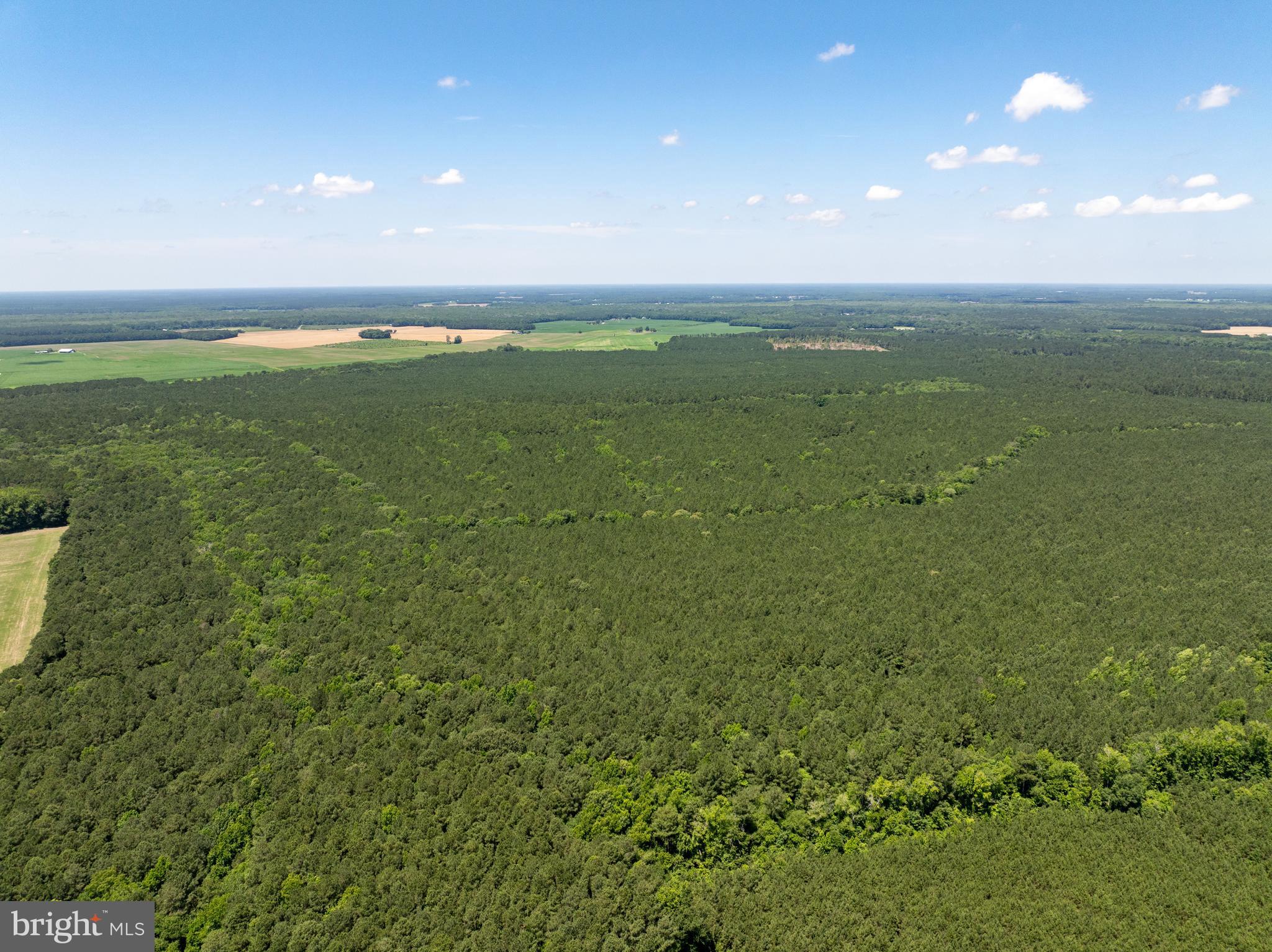 0 Patey Woods Road Berlin, MD 21811 - Photo 17 of 20 a view of a green field with clear sky
