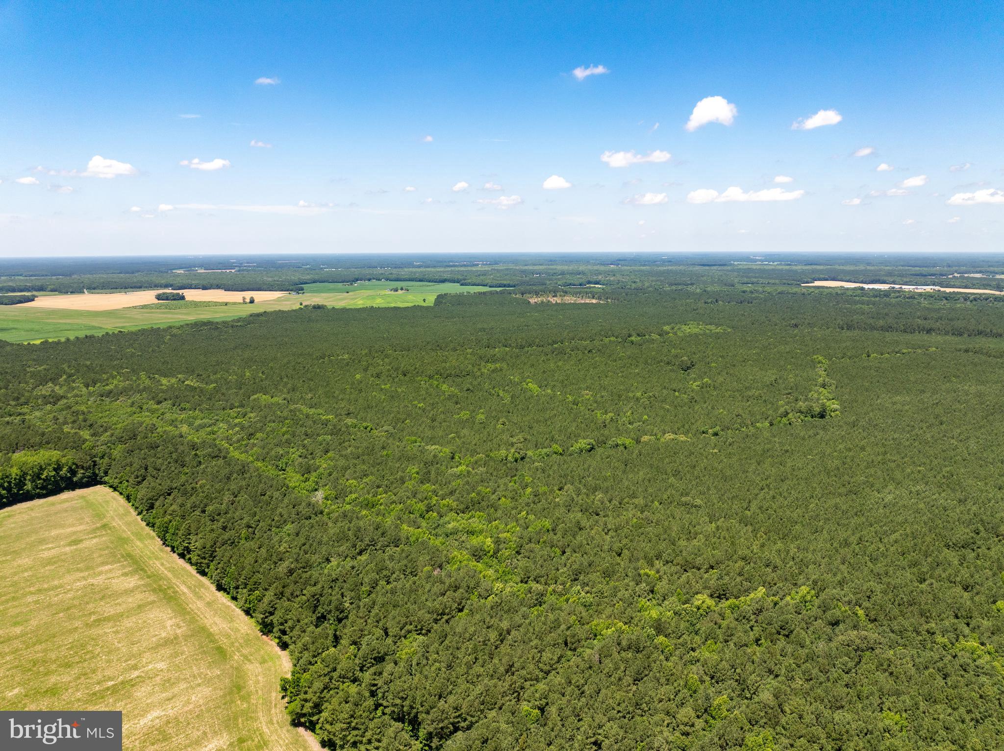 0 Patey Woods Road Berlin, MD 21811 - Photo 18 of 20 a view of an ocean