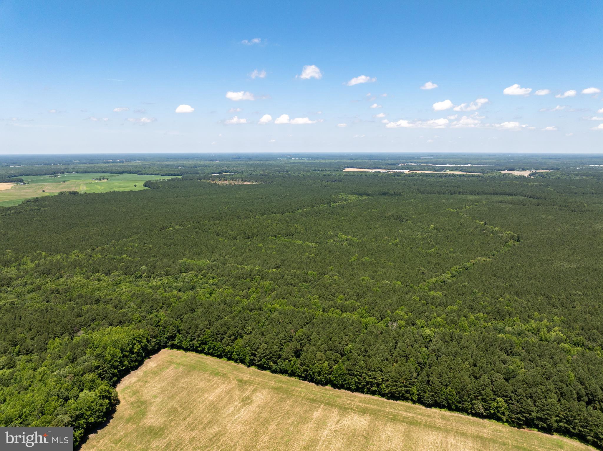 0 Patey Woods Road Berlin, MD 21811 - Photo 20 of 20 a view of a field with an ocean view