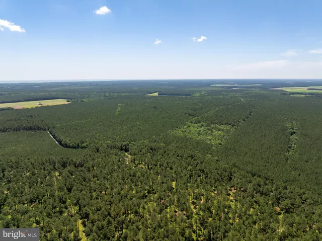 a view of a field with an ocean