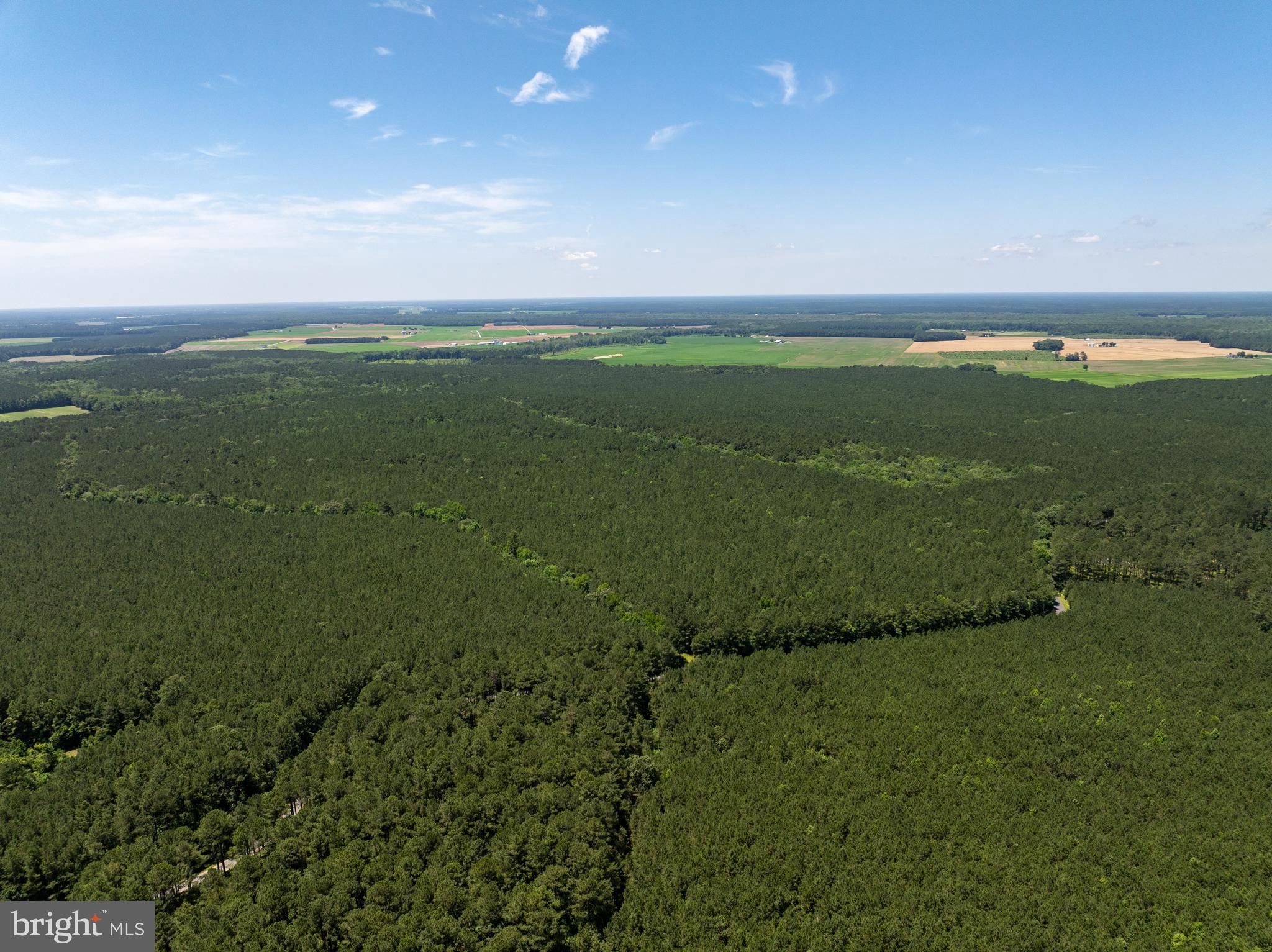 0 Patey Woods Road Berlin, MD 21811 - Photo 5 of 20 a view of a field with an ocean