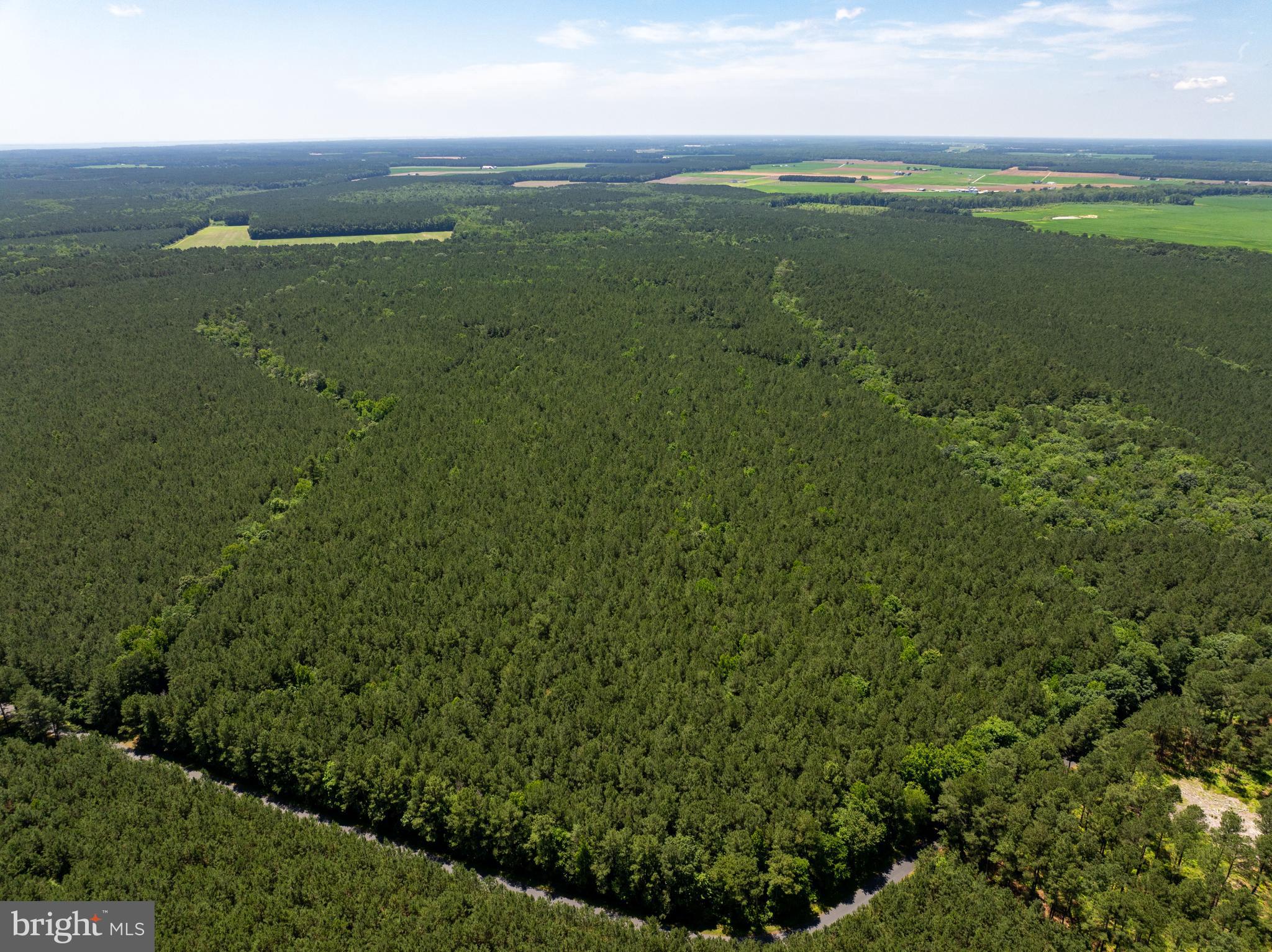 0 Patey Woods Road Berlin, MD 21811 - Photo 6 of 20 a view of a field with an ocean