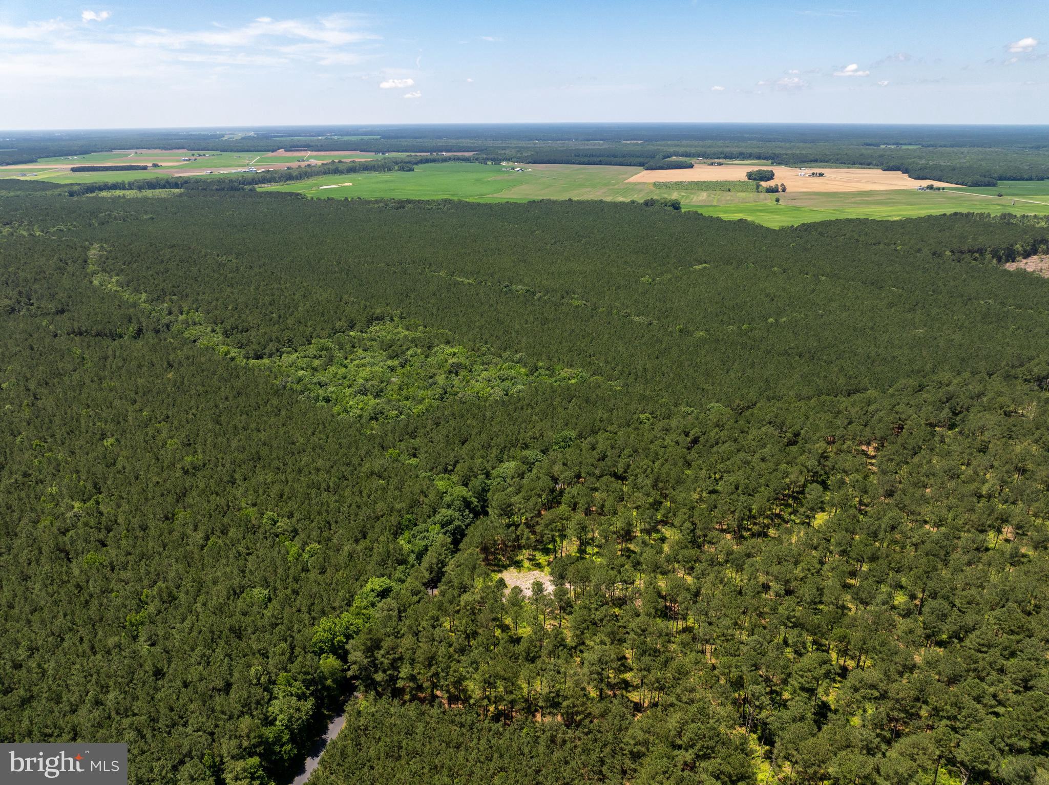0 Patey Woods Road Berlin, MD 21811 - Photo 7 of 20 a view of an ocean
