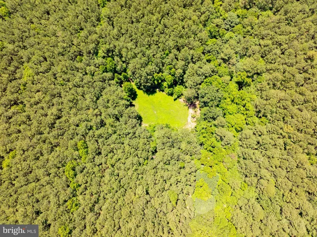 a view of a big yard