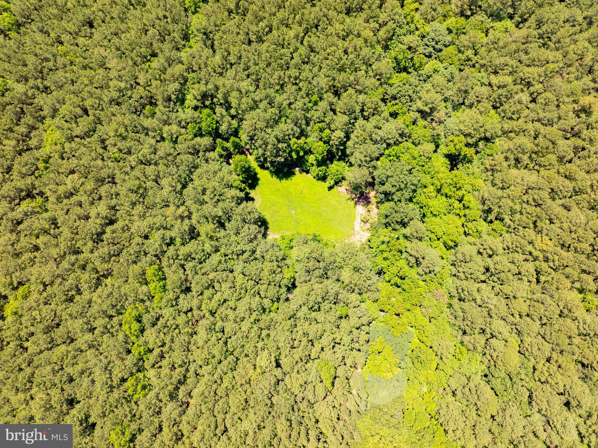 0 Patey Woods Road Berlin, MD 21811 - Photo 8 of 20 a view of a big yard