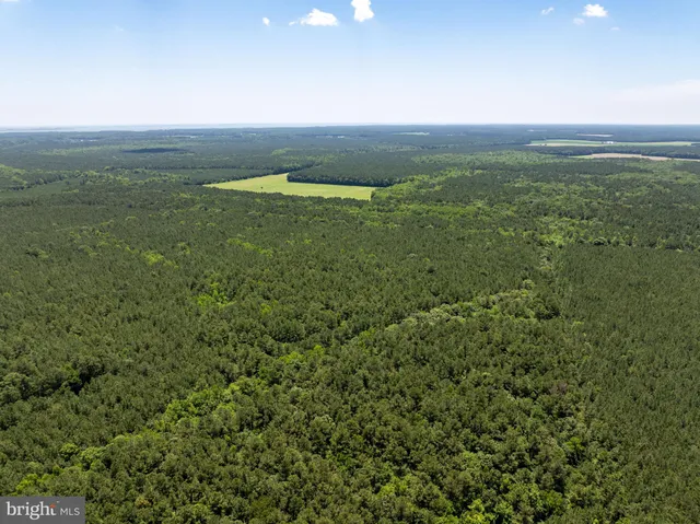 a view of an ocean and mountain